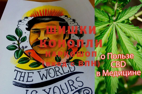 ГАЛЛЮЦИНОГЕННЫЕ ГРИБЫ Армянск
