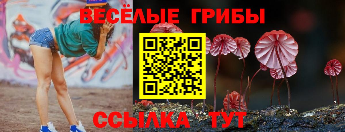 цена наркотик  Псилоцибиновые грибы мухоморы  Вход с VPN  Псилоцибиновые грибы прущие грибы  Новомосковск 
